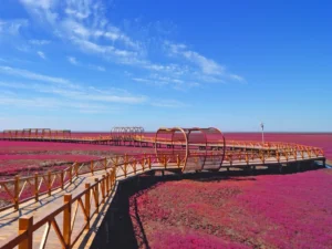 As 7 Praias mais Inusitadas do Mundo